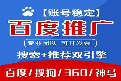 行业领先SEM服务公司案例研究